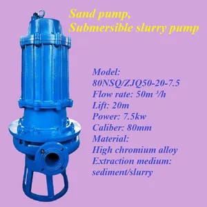 Sand Pumping Pump thumbnail-3