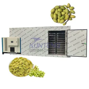 Food Dryer Vegetable Fruit Drying Oven Grape Olive Fruit Drying Machine EPC thumbnail-1