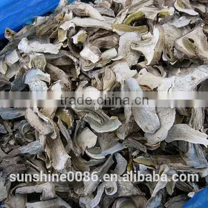 High Quality Dried Boletus From Yuannan thumbnail-4