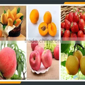 Leader High Quality Mango Peeling Pitting Pulping Machine Offering Its Services to Overseas thumbnail-6