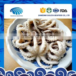Frozen Baby Octopus High Quality Low Price thumbnail-1