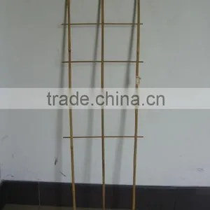 Bamboo Trellis Sun-007 thumbnail-1