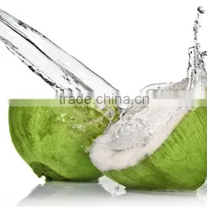 Young Coconut Water Concentrate 250 ml - Rosun Natural Products Pvt Ltd INDIA thumbnail-1