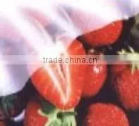 pp Spunbond Nonwoven Fabric for Fruit Cover thumbnail-1
