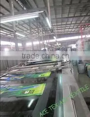 Shaanxi Ace Textile Co., Ltd. company overview - view 2 thumbnail