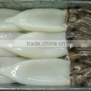 Frozen Squid Tentacle and Tube thumbnail-1