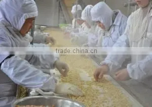 Qingdao DYTD Foods Co., Ltd. company overview - view 3 thumbnail