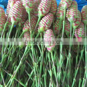 Artificial Wild Plants Real Looking thumbnail-1