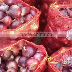 Fresh Red Onion thumbnail-1