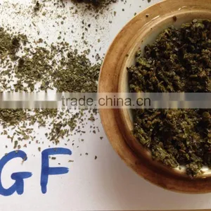 Best Quality and Competitive Price Green Tea With Sweet Taste thumbnail-1