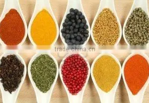 Sunita Exports company overview - view 2 thumbnail
