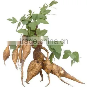 Nutrition Radix Puerariae Lobata Powder,kudzuvine Root Powder thumbnail-2