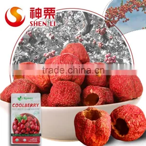 Freeze Dried Pitted Hawthorn Berry Fruits thumbnail-1
