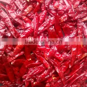 CHILLI PEPPER thumbnail-4