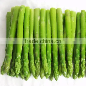 IQF Frozen Green Asparagus Fresh Material From Sunnywellfoods thumbnail-1