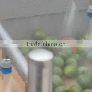 Full Automatic Industrial Spray Vegetable And Fruit Washer Washing Machine thumbnail-5