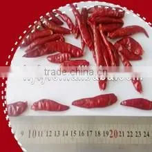2014 Hot Whole Tianying Chilli thumbnail-1