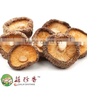 Factory Direct Sale Export Mushroom Price Dried Shitake thumbnail-3
