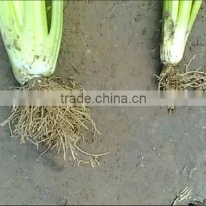 Professional Manufacturer Cheaper 99% Agriculture Grade Magnesium Sulfate Heptahydrate Fertilizer Epsom Salt thumbnail-4