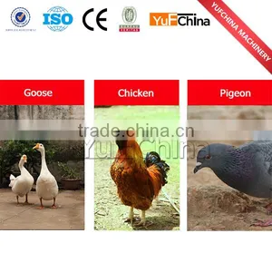 Industrial Chicken Plucker With Safe Operation thumbnail-4