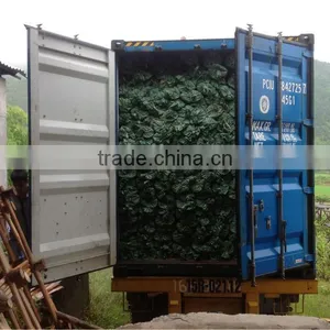 Wooden Broom Stick PVC Coated/ Wooden Broom Handle ( Contact@kego.com.vn) thumbnail-1