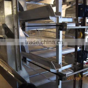 H Type 56 Chickens Broiler Chicken Cage Sale for Tanzania thumbnail-2
