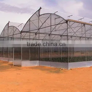 Factory Price Galvanized Steel Frame Agricultural Plastic Green House thumbnail-1