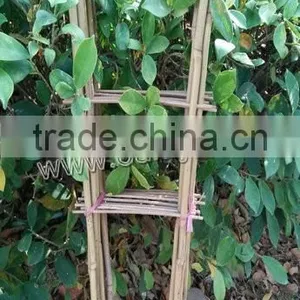 Bamboo Wood Trellis thumbnail-1