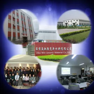 Zibo Win-Ceramic Material Co., Ltd company overview - view 1 thumbnail