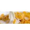 Corn Flakes Machine thumbnail-1