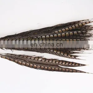 Best Quality 30-40cm Pheasant Feather thumbnail-1