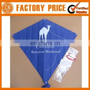 Cheap Diamond Promotional Kite thumbnail-4