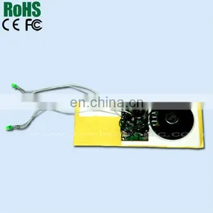 Programmable Musical Chips for Greeting Card thumbnail-1