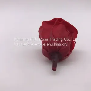 High Quality Timeless Preserved Flower to Make Gorgeous Flower Gifts thumbnail-5