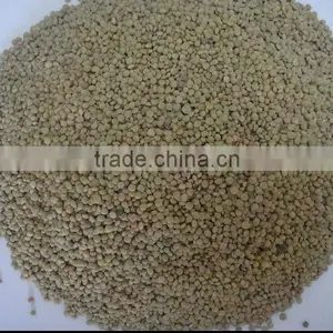 Chinese Lentils thumbnail-1