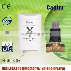 Gas Detector With Electromagnetic Valve thumbnail-1