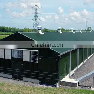 High Strength Multi-span Chicken House Steel Structure Chicken Farm Poultry House thumbnail-5