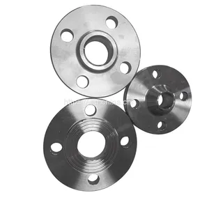 Stainless Steel Flange thumbnail-1
