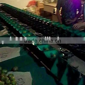 Commercial Orange Grading Machine/lemon Sorting Machine/kiwi Sorter Machine thumbnail-1