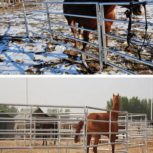 2025 Wholesale Modern Style Steel Horse Fence Panels Chain Link Design Horse Yard Horse Protection thumbnail-3