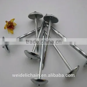 3''x9bwg Twisted Shank Roofing Nails/umbrella Roofing Nails thumbnail-6