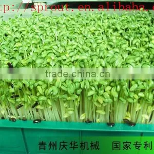 Automatic Sprout Machine/black Soya thumbnail-3