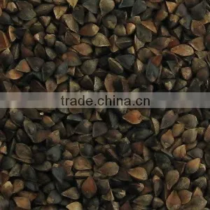 China Black Buckwheat Crop 2011 thumbnail-1