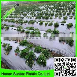 High Quality Vegetable Cover Used Perforated Mulch Film/plastic Lldpe Mulch Film thumbnail-5