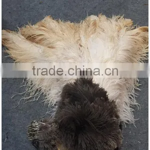 Magic Duster With Telescopic Plastic Pole thumbnail-3