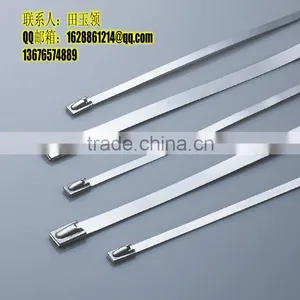 Supply Stainless Steel Lock Steel Ball Ties (material:304-201-316 ) 4.6*200 thumbnail-2