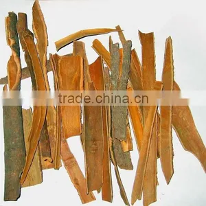 Broken Cassia With Best Price thumbnail-1