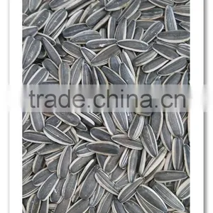 Sunflower Seeds 0409 Market Price thumbnail-1