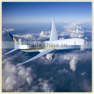 Air Freight Forwarder to Vietnam thumbnail-1