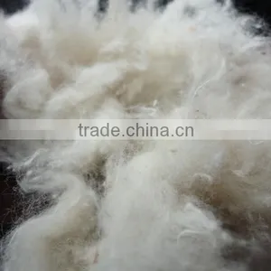 Raw White Cotton Shoddy Fiber/ Cotton Recycle Comber thumbnail-2